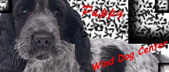 ~Wind Dog Center